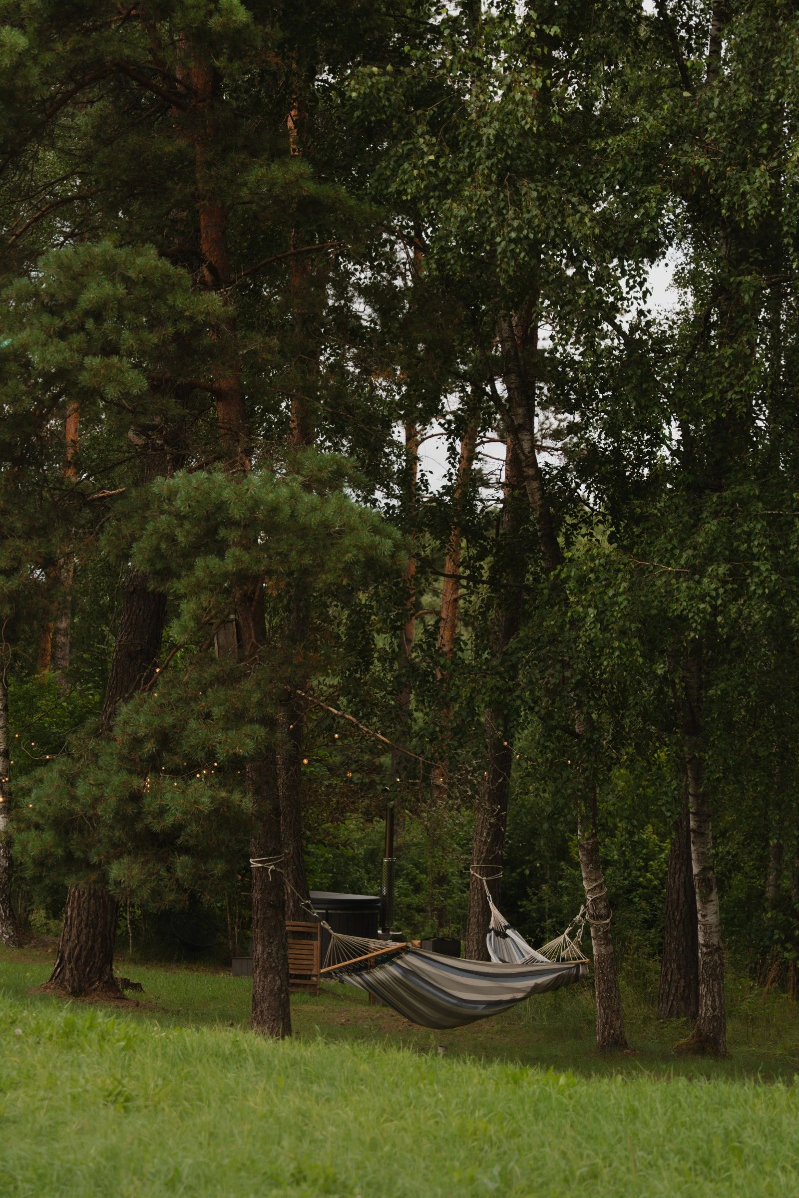 Kedras cabin, photo 6